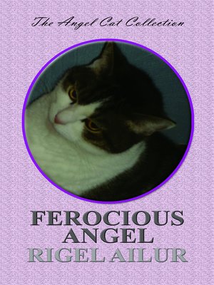 cover image of Ferocious Angel